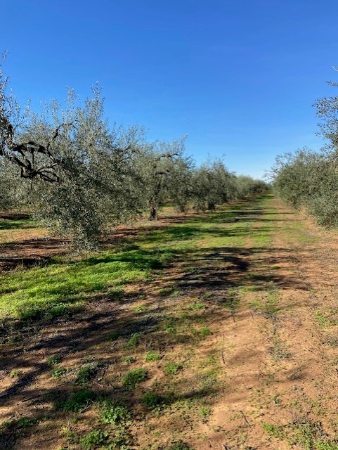 thumbnail_image001 (2)